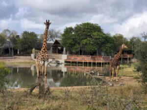 View of Simbavati Waterside Lodge South Africa